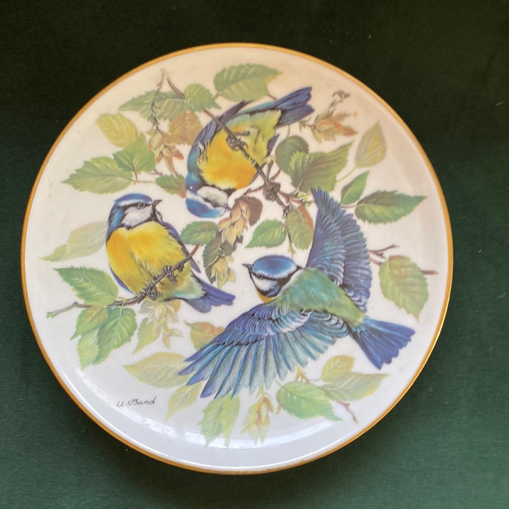 - Collectible wwf plate 1985 beautiful drawing and condition